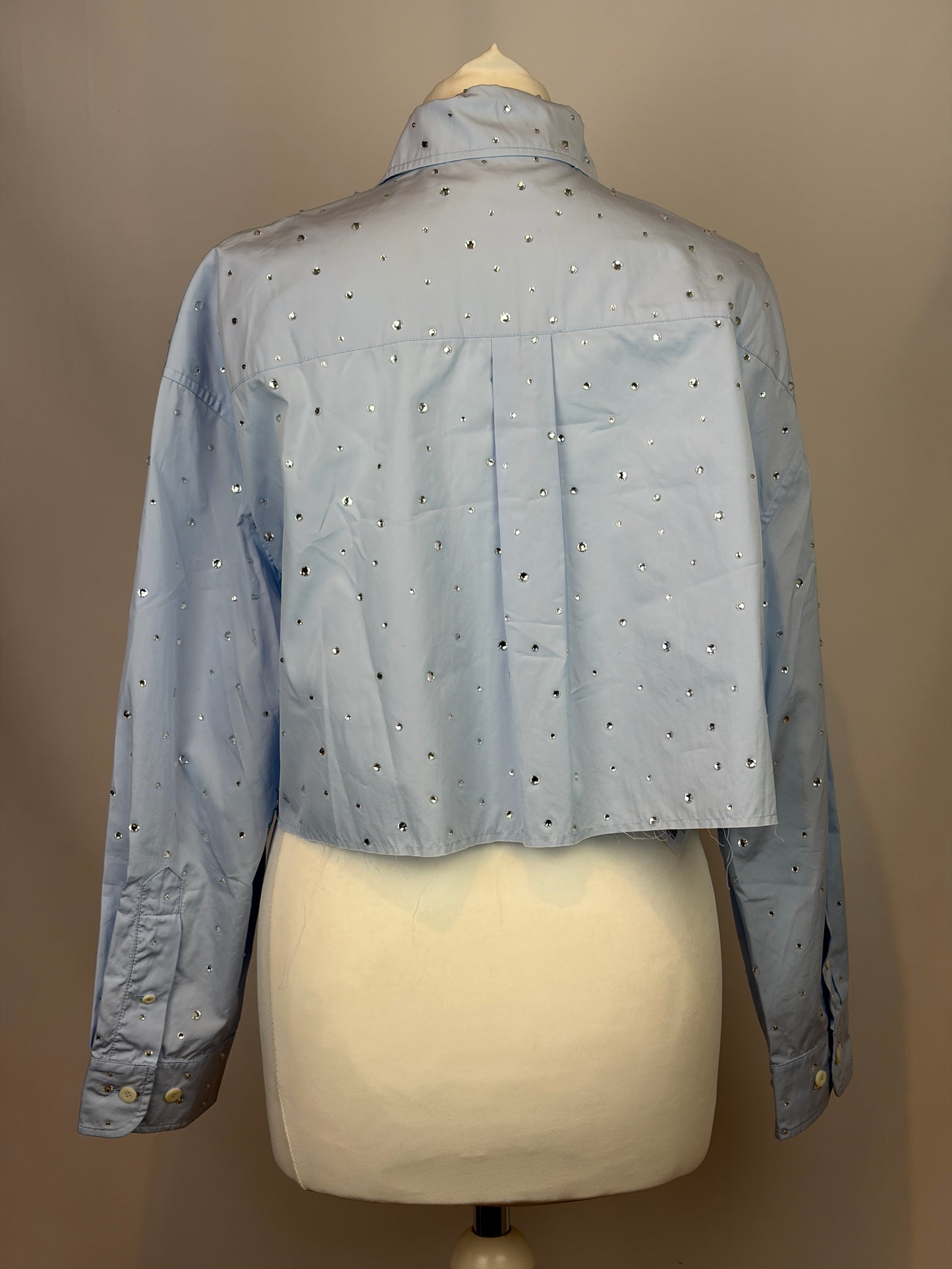 Miu Miu Light Blue Crystal Embellished Shirt - M