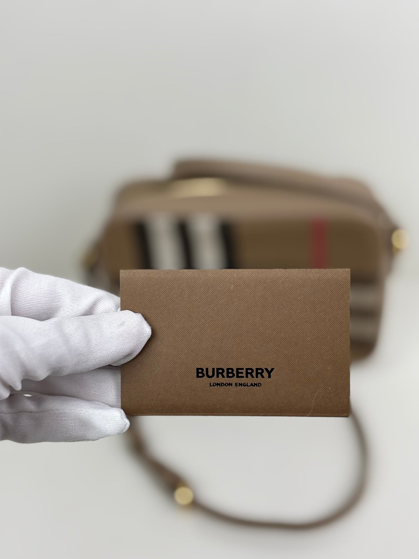 Burberry Check Camera Bag in Chestnut Beige Leather and Canvas