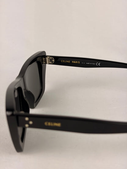 Celine Cat-Eye Acetate Sunglasses CL40187I Black